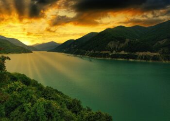 5 Top Coffee that you can buy