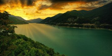 5 Top Coffee that you can buy